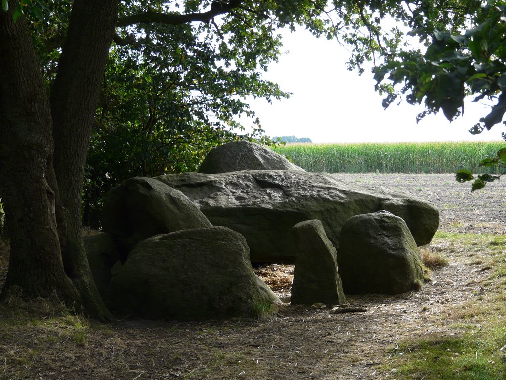 Germany_Lower Saxony_Werpeloh_Megalitic Tombs of the Bush Hill_Grave 2_P1090224.JPG by George Charleston