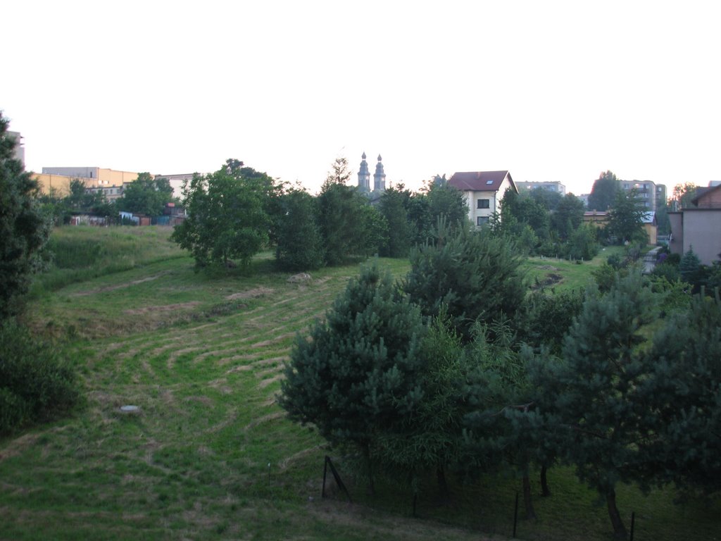 Suburb in Radlin (Przedmieścia w Radlinie) by LocDog