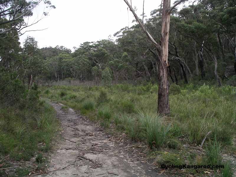 Budawangs - near Quiltys Mountain by CyclingKangaroo