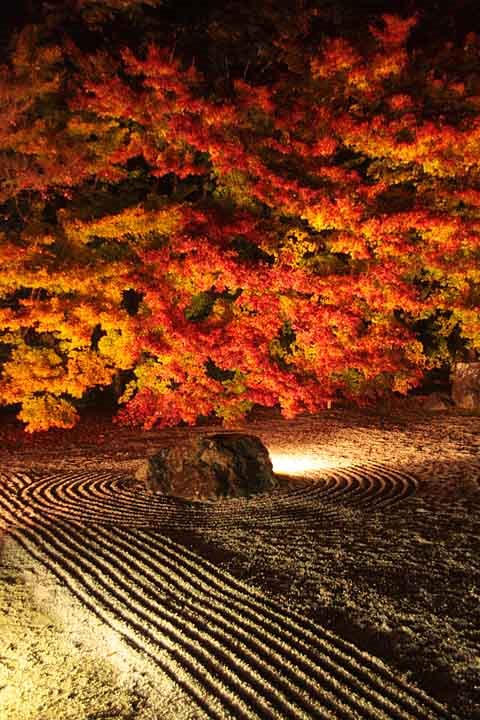 Night viewing of Jisso-in Temple by nutakku