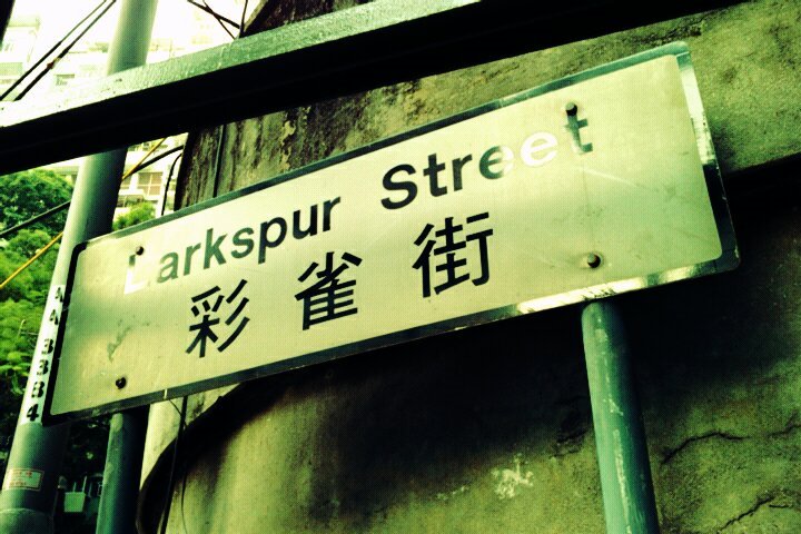 Larkspur Street by JJ Leung