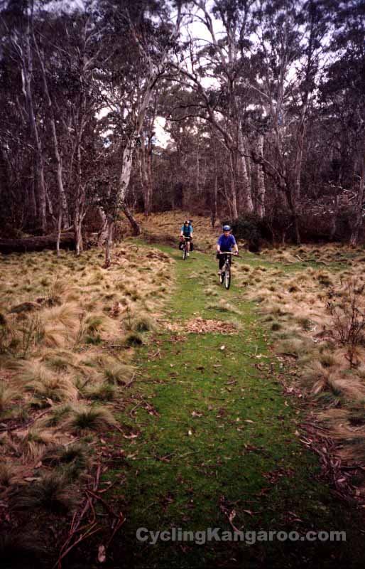 Barrington Tops by CyclingKangaroo