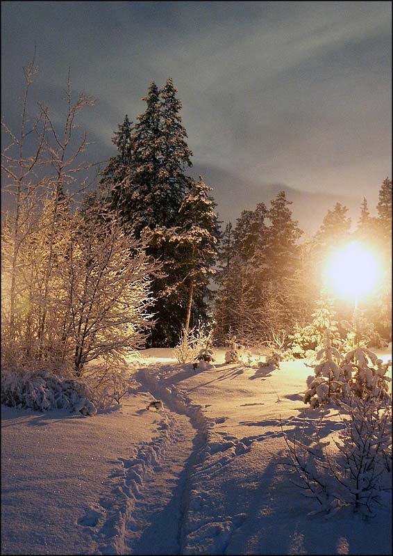 Vinter vid Örnens Väg i Haninge by Jan-Inge Flucht