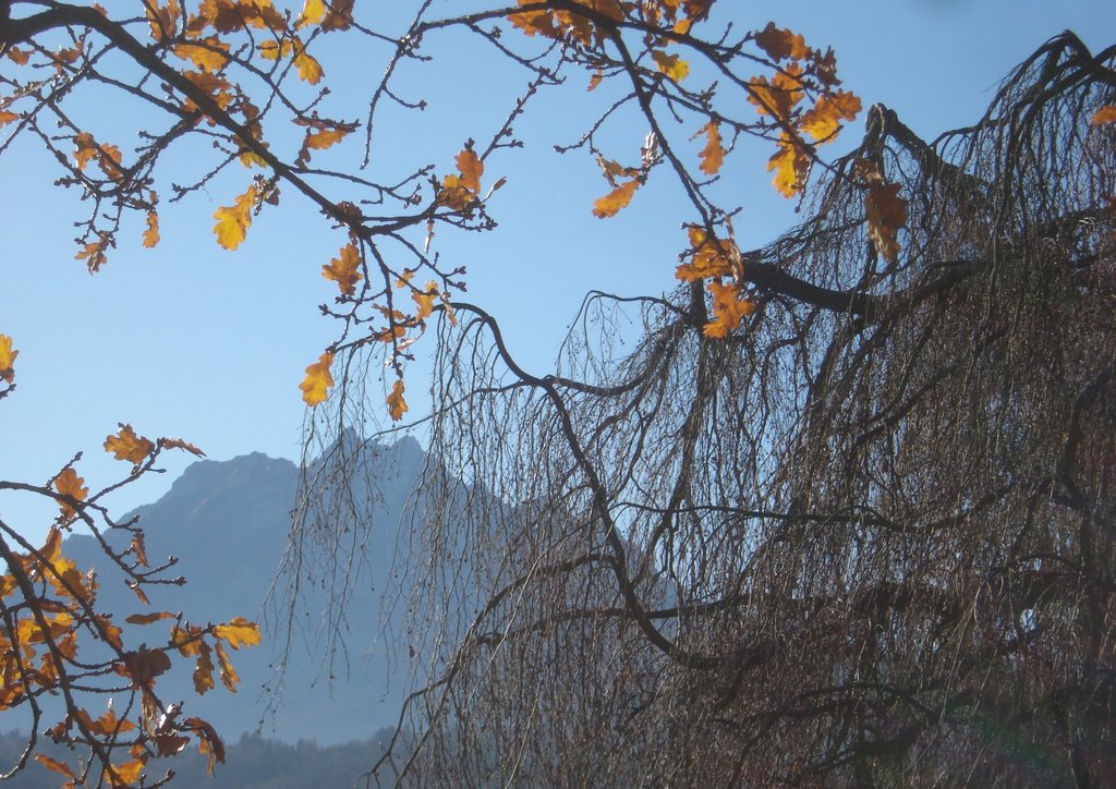 09 Herbst Luzern Pilatus, Gold 3 by RobiChiappori