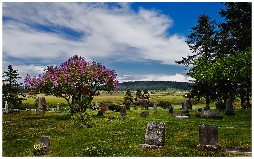 In Peace by John Christopher