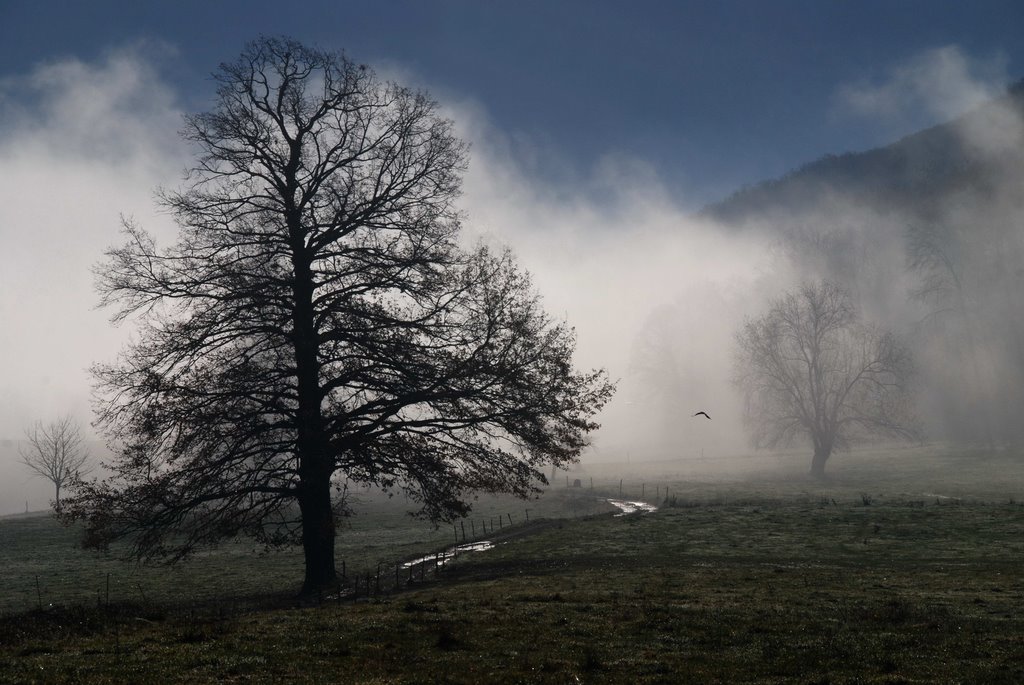 Matin d'Automne en Savoie by yves floret