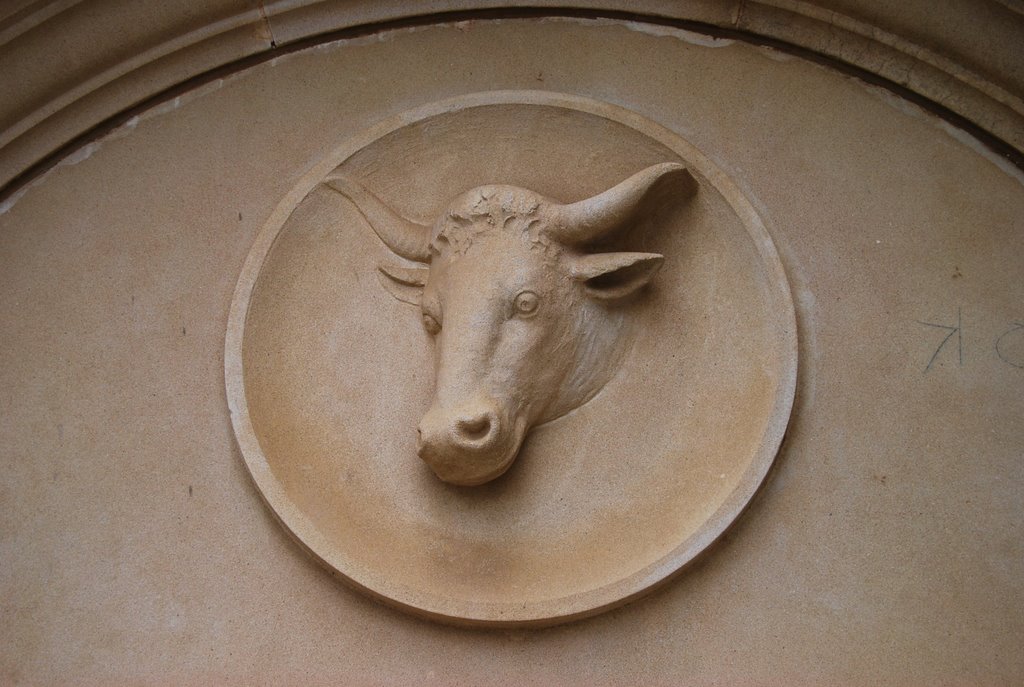 Bull relief, Hamilton County Courthouse, Hamilton, TX by Jim Nieland