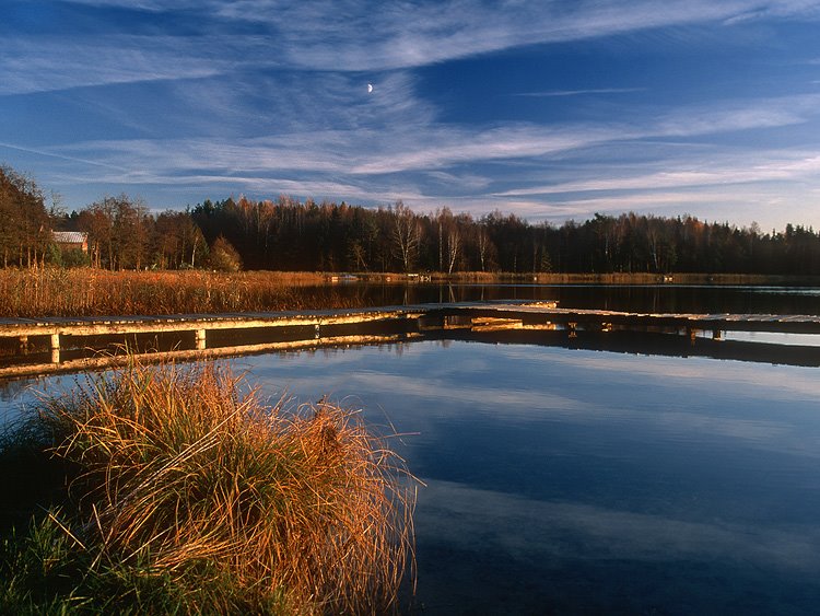 Jezioro Koleśne by Antoni Kowalewski