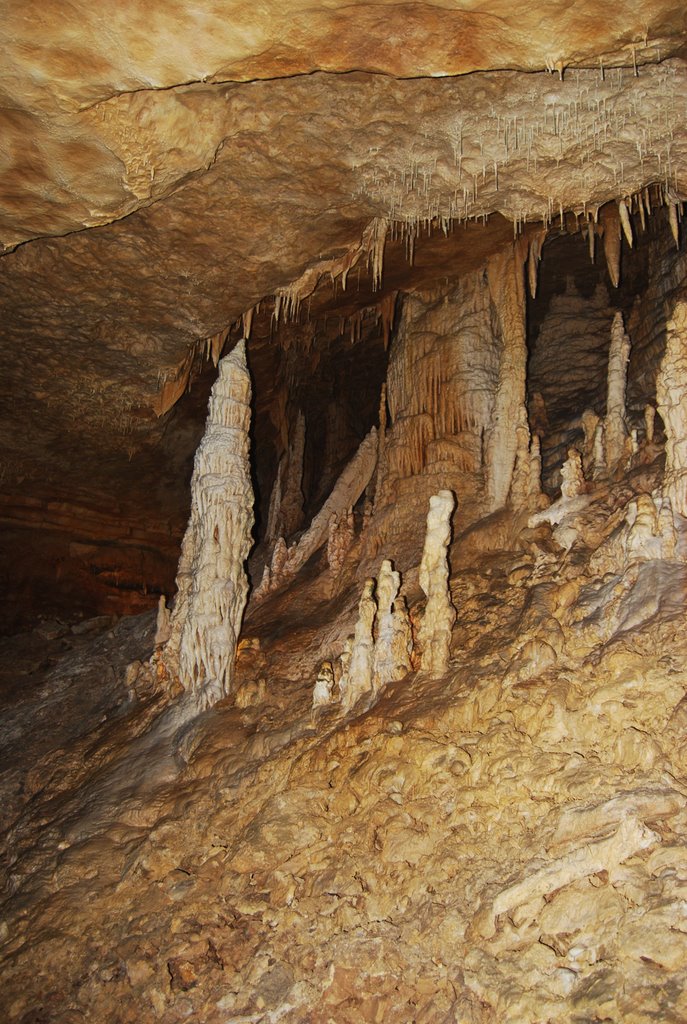 Stalagmites and columns, Natural Bridge Caverns by Jim Nieland