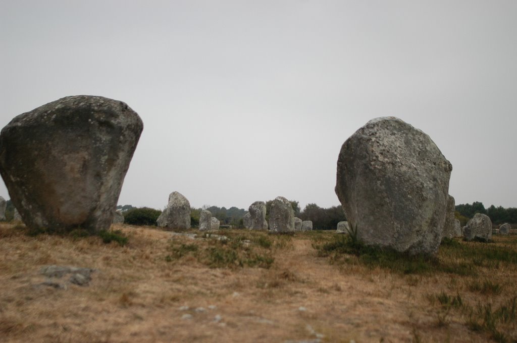 Menhirs de Carnac by ouatom56