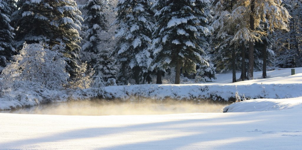 Première neige 3 by Marie Pinsonnault