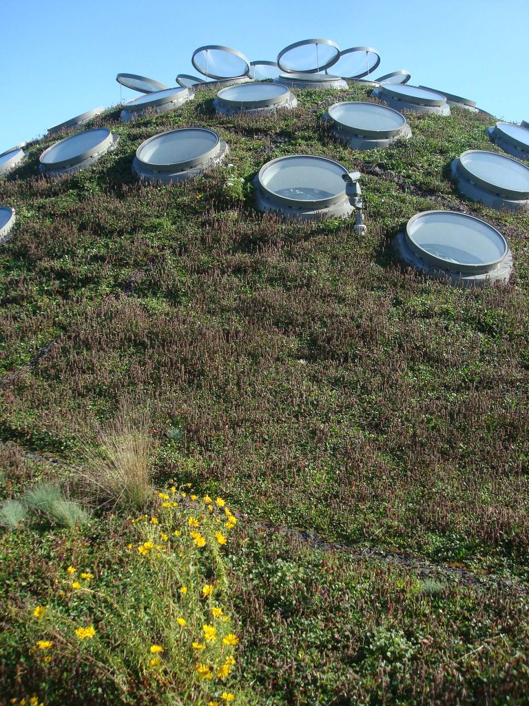 California Academy of Sciences by Emiliano Homrich