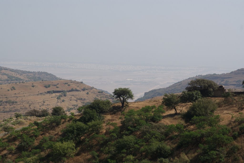 View Over Salalah by njellis