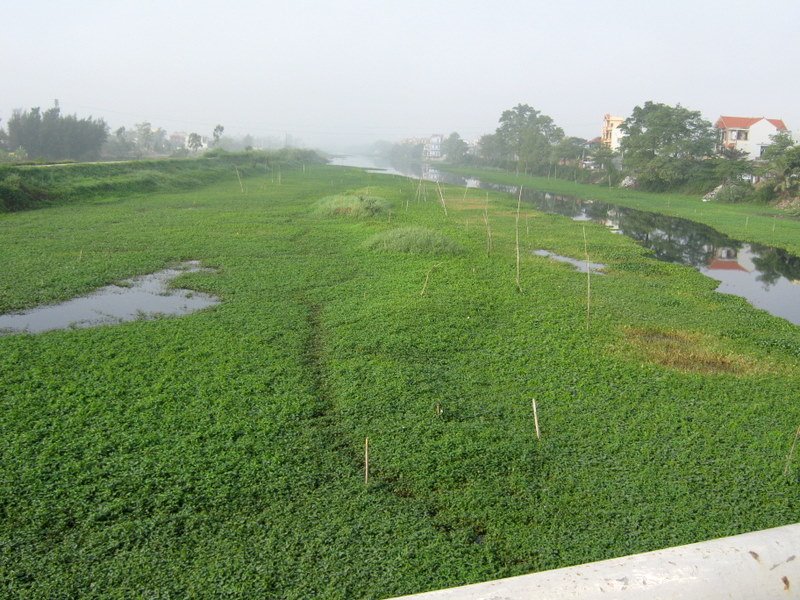 Dòng sông đang chết by Khachdulich