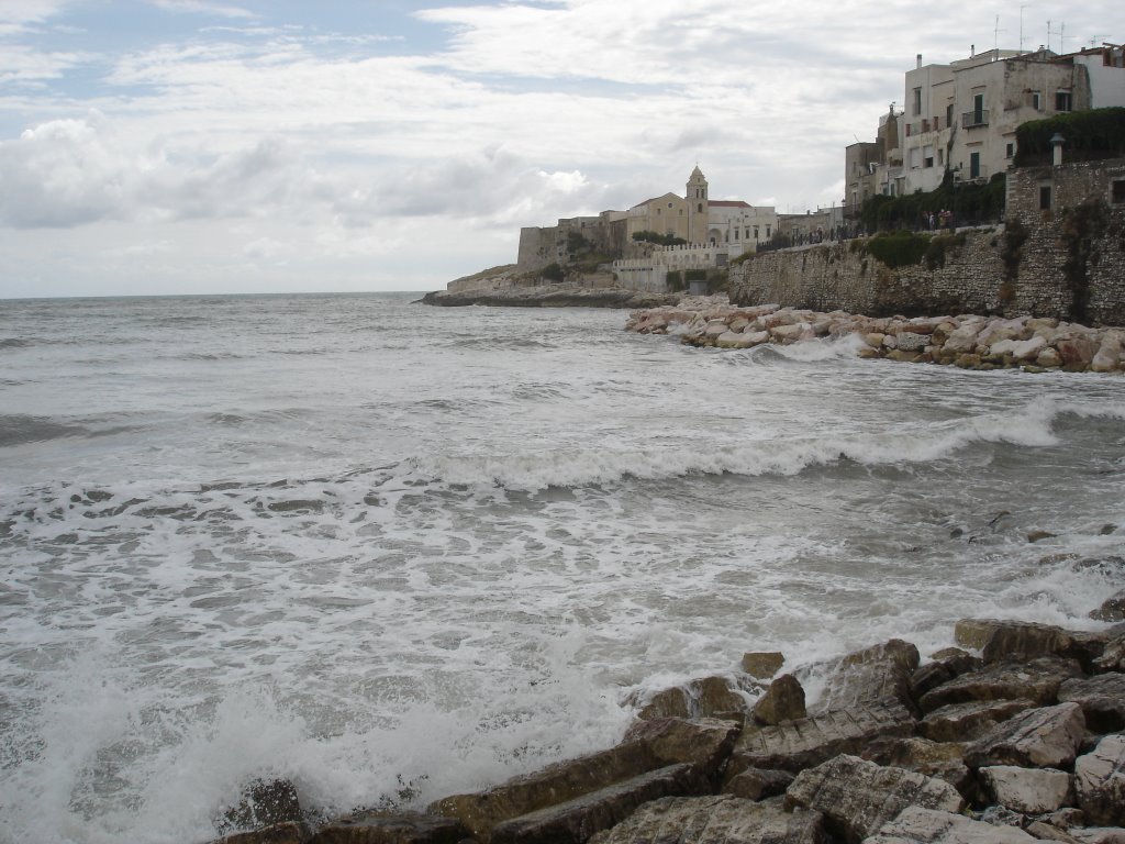 Mare spumeggiante a Vieste by Nicola Rettani