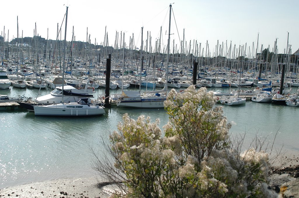 Port des Minimes by ouatom56