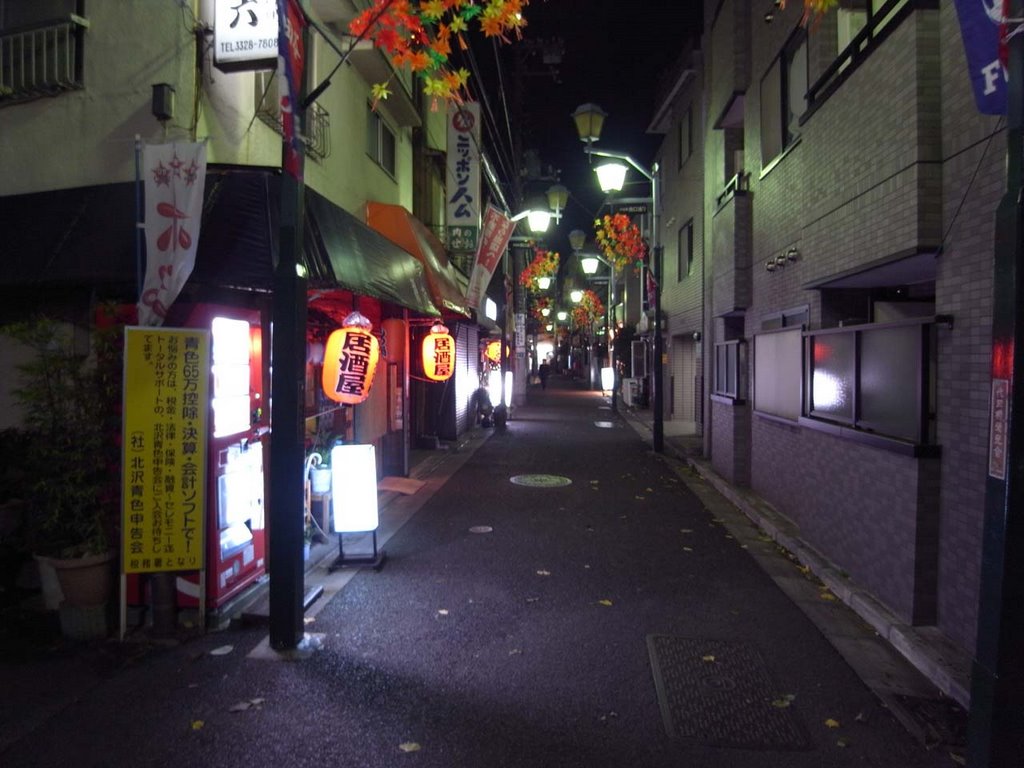 The shopping street of Daitabashi by tizumi3