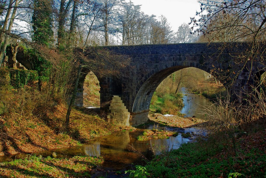 PONT DE SANT ROC SOBRE EL RIU FLUVIÀ - ARD by © PICOT PRODUCCIONS