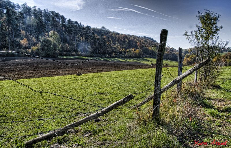 Les Combes, Jasseron by JM Alves