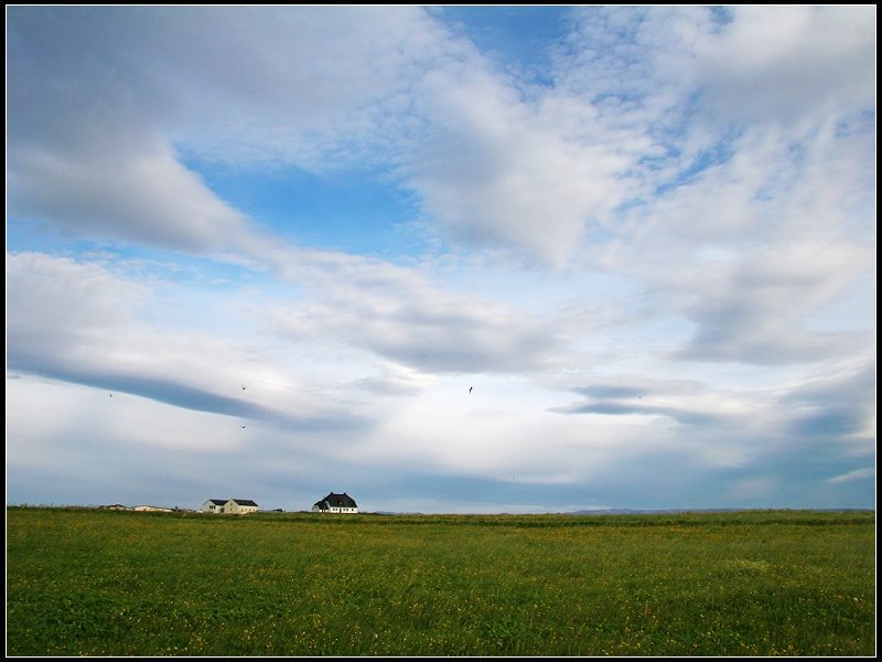 170 Seltjarnarnes, Iceland by 尼尔伯