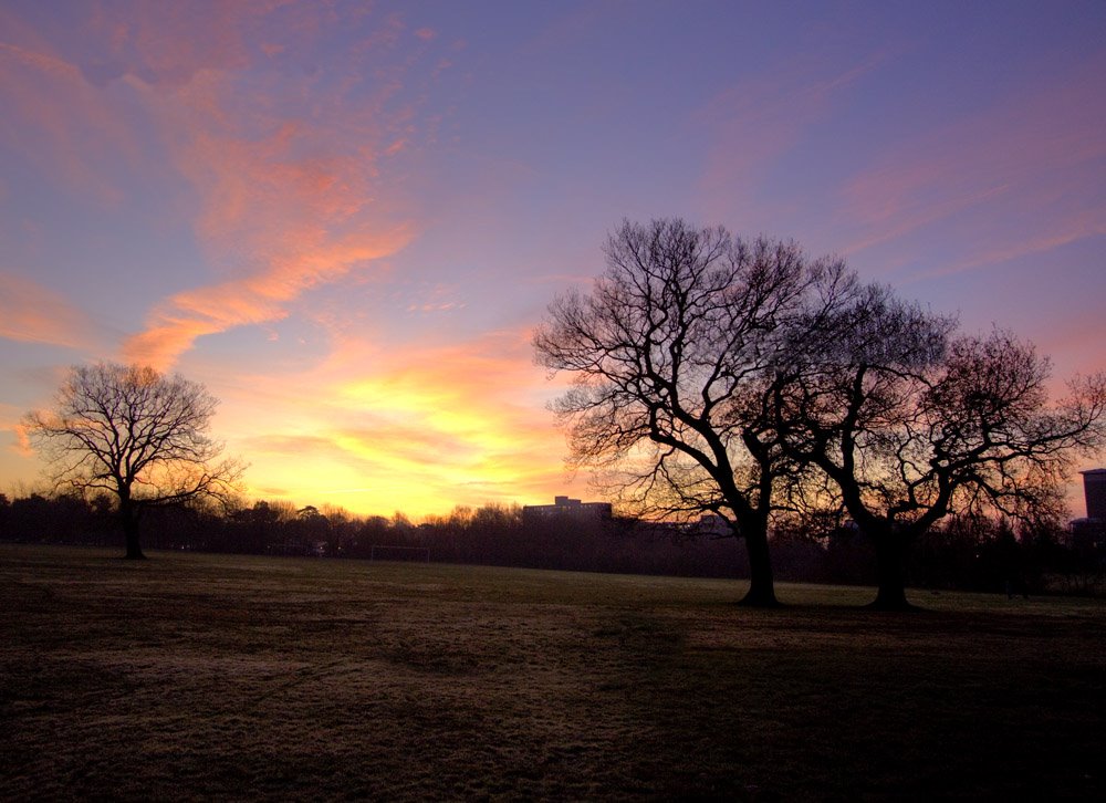 Heath Park Dawn by Steve Porteous