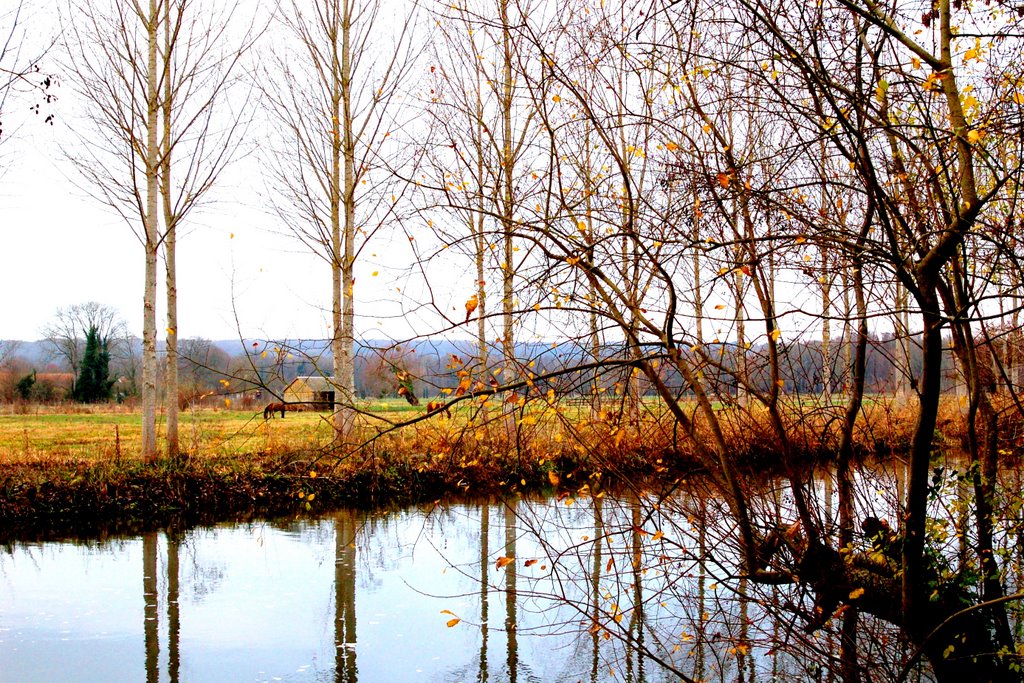 Les bords de L'Eure by fvexler