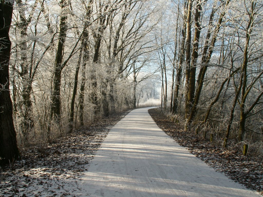 Winter op de Heinis 17 by J. Tibosch