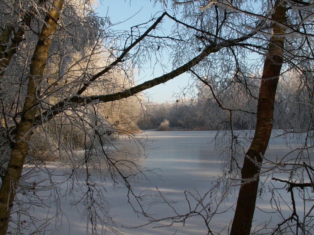 Winter op de Heinis 18 by J. Tibosch