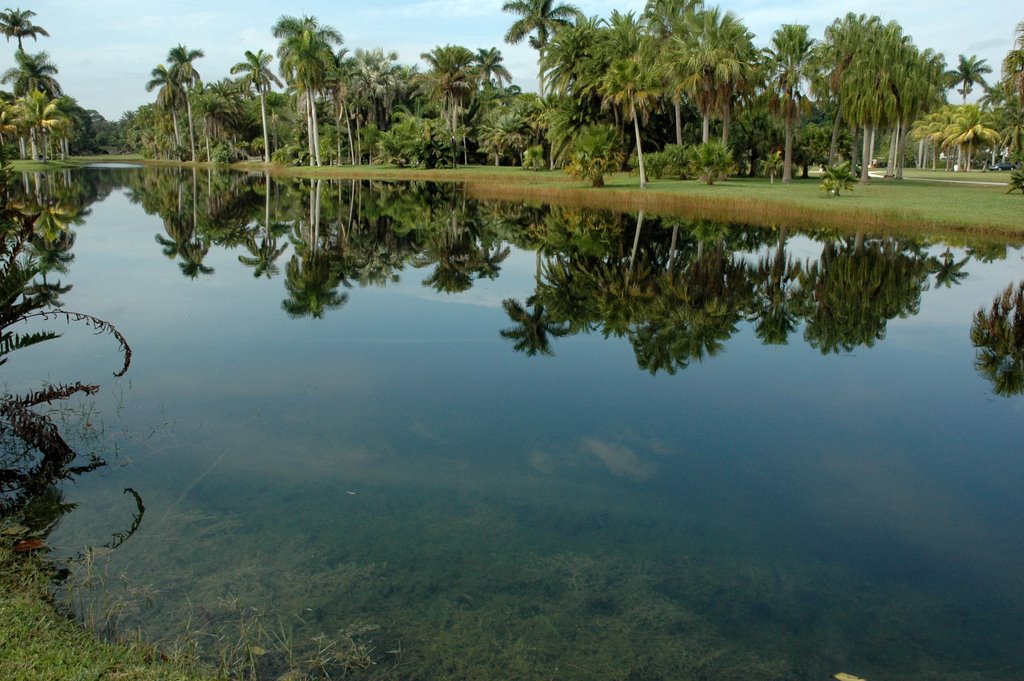 Fairchild Tropical Garden (Miami) by Dayra Uzeta