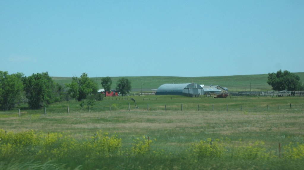 Farm operation south of Thompson Road by sacoo