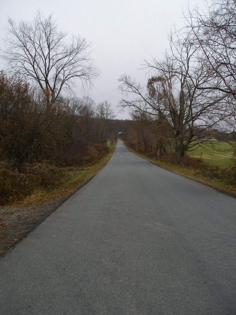 The Millbrook School Road, Millbrook, NY by Gary Miotla