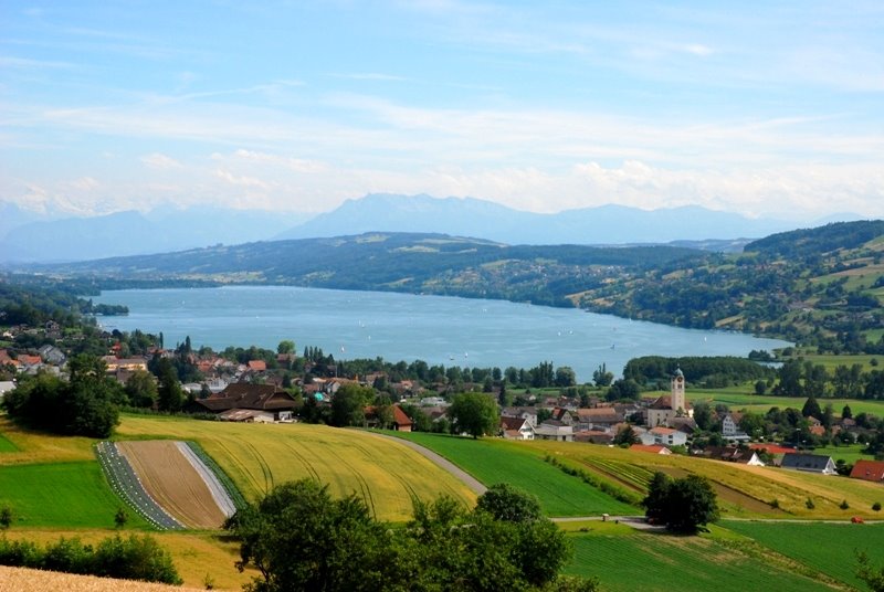 Lake Hallwil view from Eichberg near Lenzburg Switzerland by wdaeppen