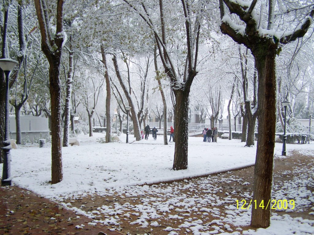 Parque Municipal de Pedro Muñoz CR by patgall63