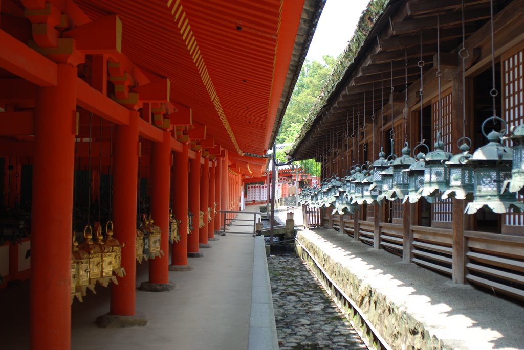 Kasuga Taisha, Nara by Covinas