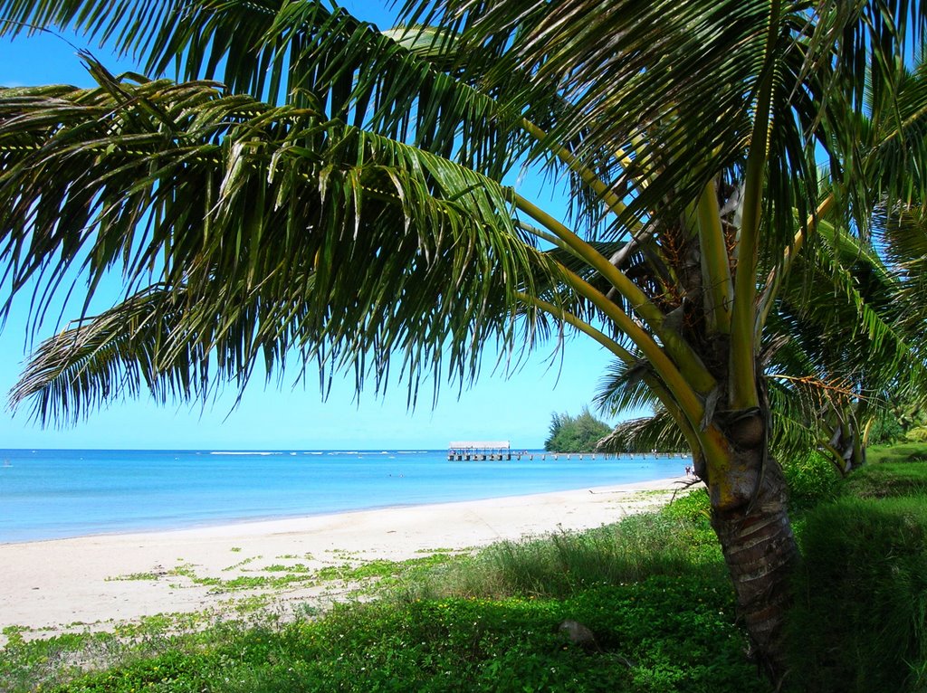 Hanalei Bay, Kauai by MartyLeeB