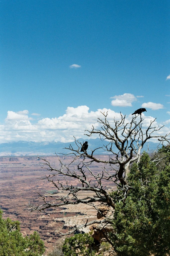 Canyonlands4 by magabri75