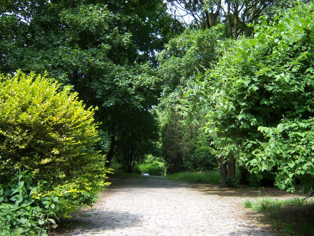 Alter Friedhof, Lichtenberg, Ruschestr by bazar-berlin