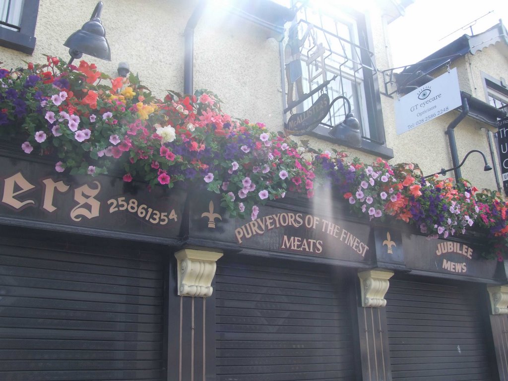 Flower Displays at shop on Broughshane main street. by Riverbraid