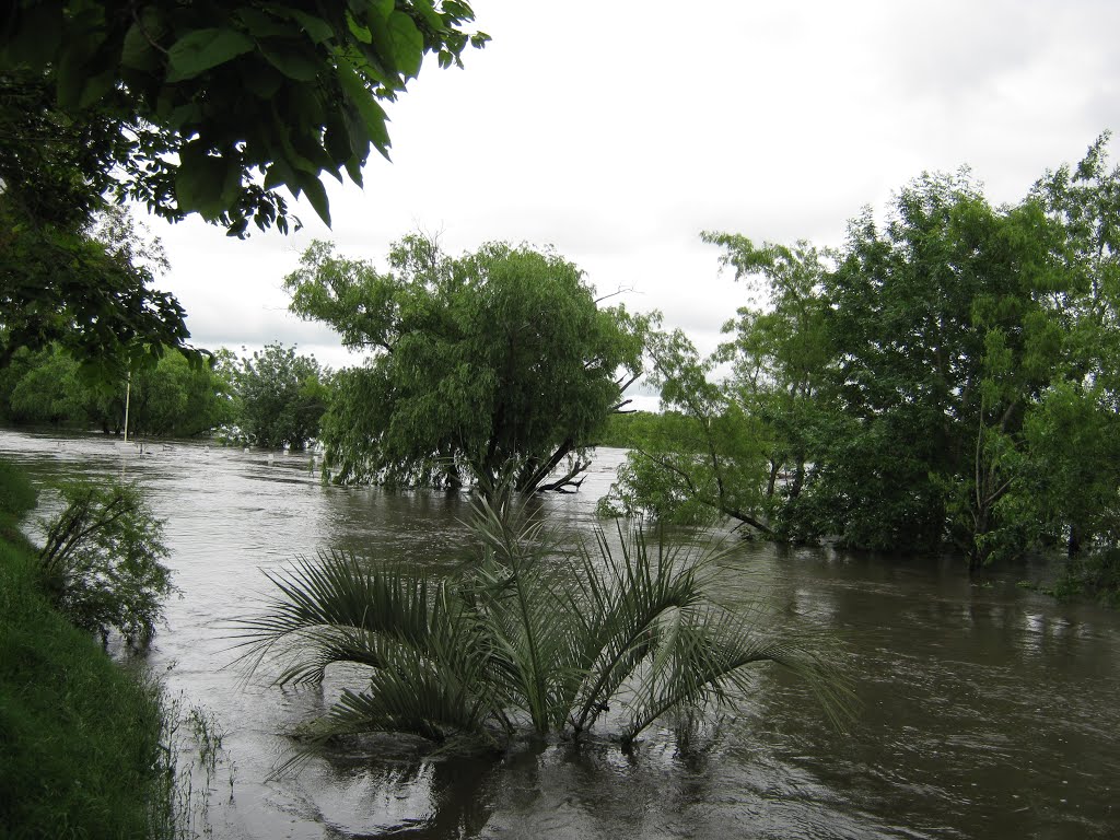 RIO CRECIDO by DIEGO A GALLEGO