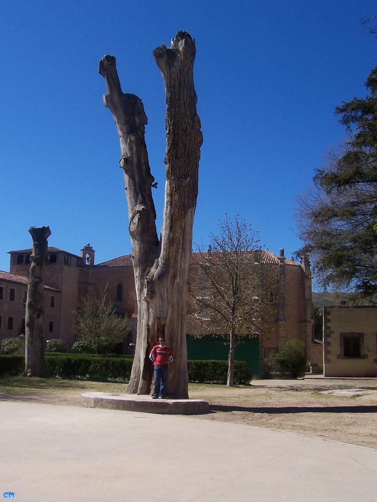 Sigüenza (España), Siguenza (Spain) by Cesar Manzano