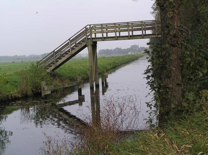 Hoogholtje Zuidlaren by dartagnan1938