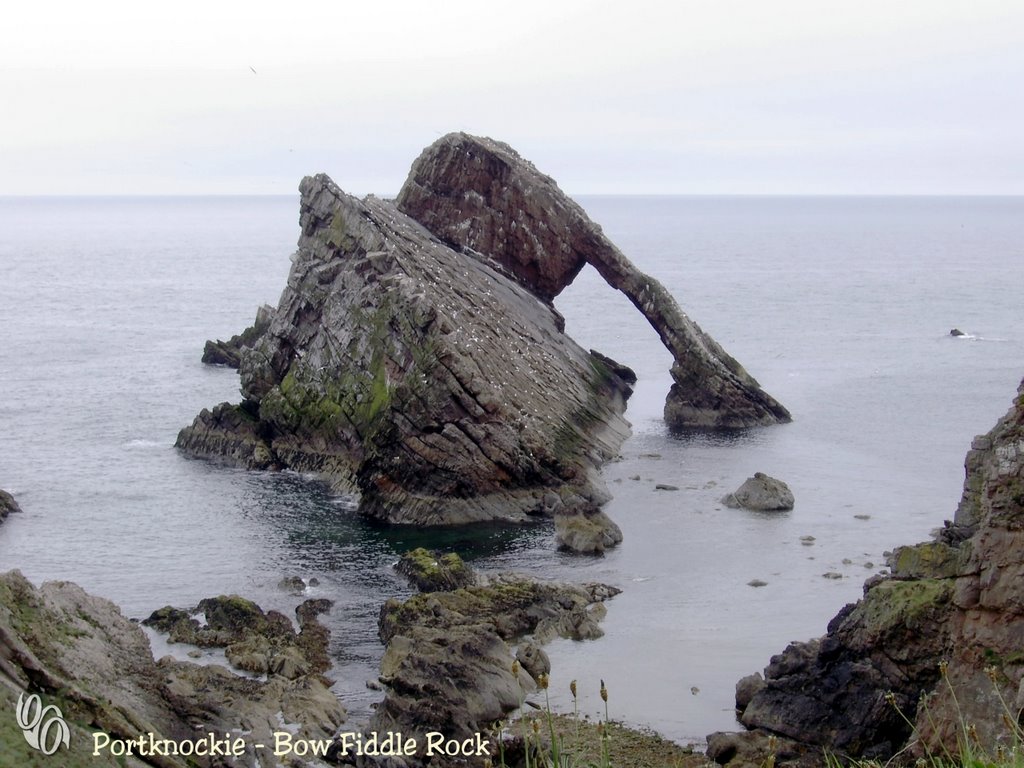 Bow Fiddle Rock by Harald KH Harms