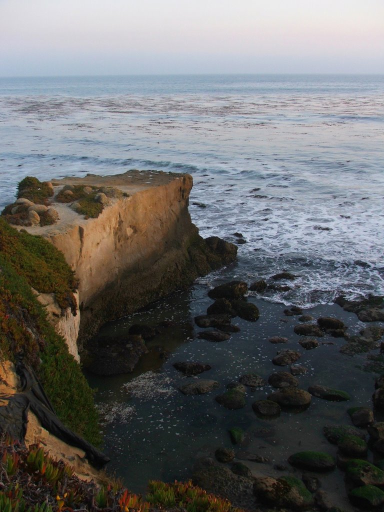 The West Cliffs Of Santa Cruz California 8-23-2009 by Kyle Stephen Smith