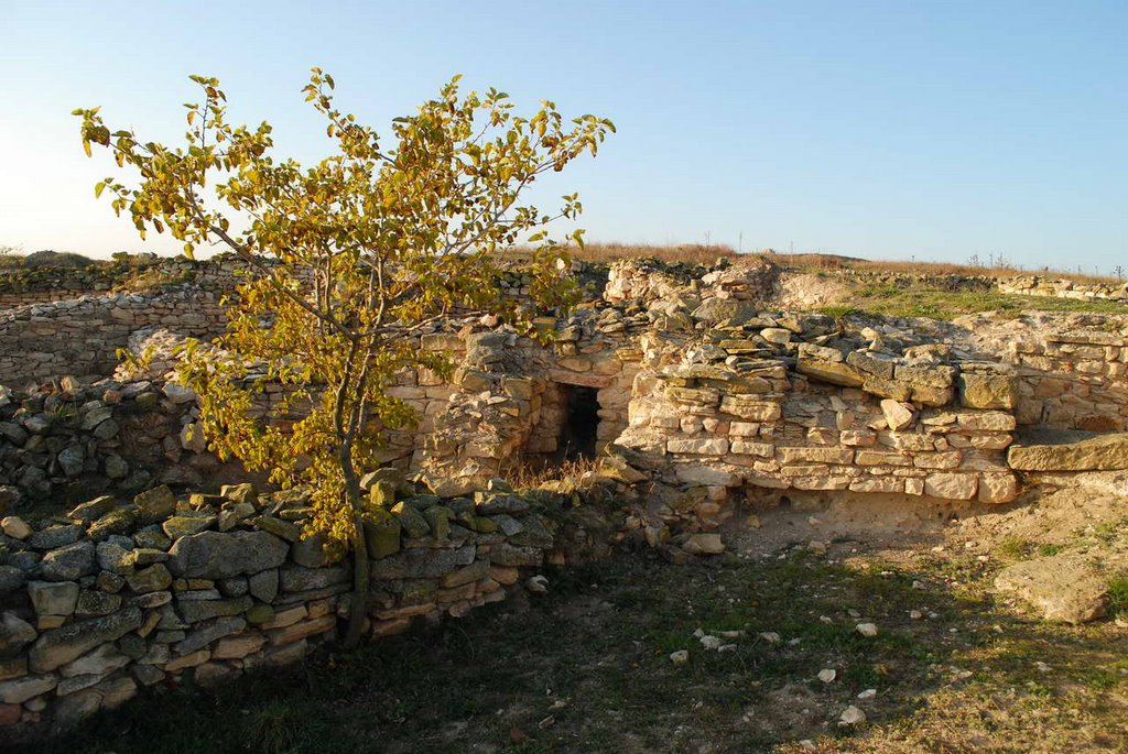 Argamum, cetatea by Cristi Mititelu http://cristi-mic.blogspot.co