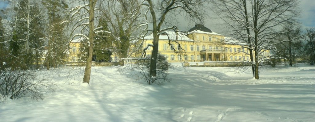 Schloss im Winter by Phantömchen