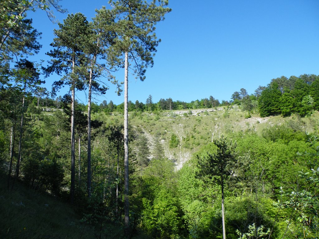 Versant Nord de la Coquille Zone Protégée by dvilleret