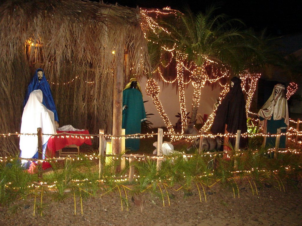 Presépio (Enfeites de Natal na Praça dos Paiaguás) by gandre