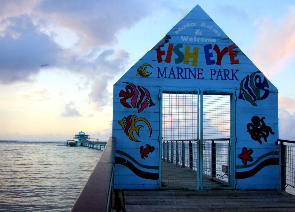 GUAM - Fish Eye Marine Park Observatory, Piti (Protected Preserve) by fita-sarmiento-roberto