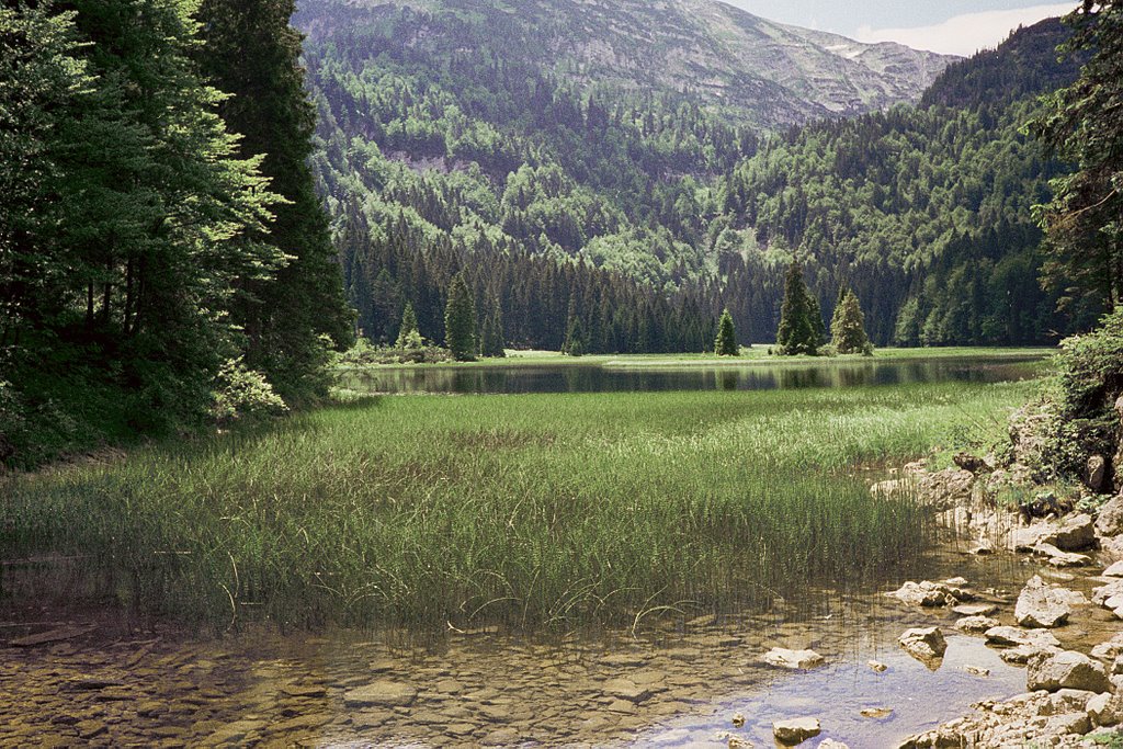 Lunz Obersee by dutchman_flying