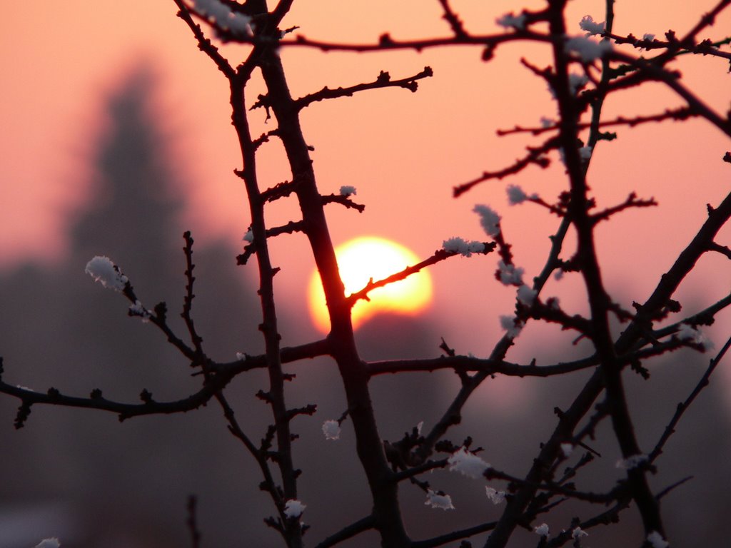 Sonne und Eis in Karlsfeld by Tommi-ze